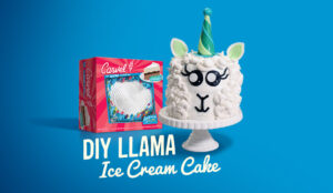 DIY Llama Cake