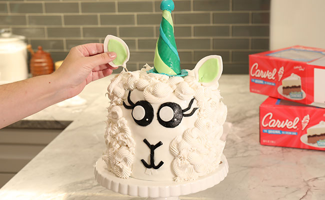 Kara's Party Ideas No Llama Drama Birthday Party | Kara's Party Ideas